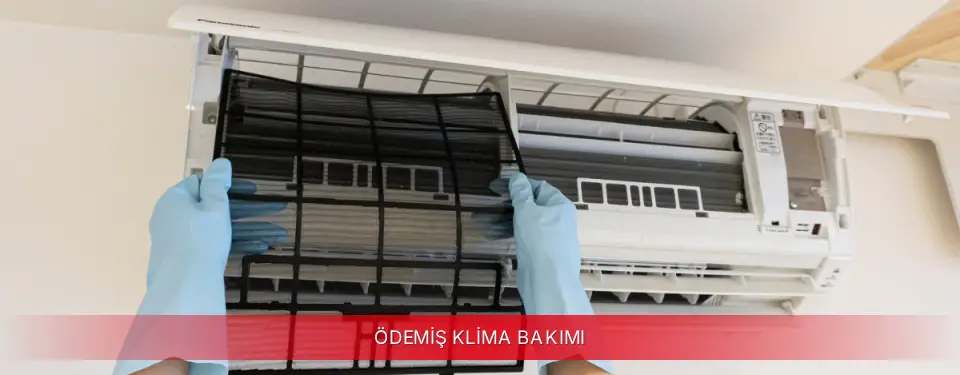 Ödemiş İlçemi TCL Klima Bakımı