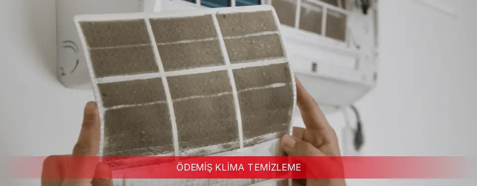 Ödemiş İlçemi TCL Klima Temizleme
